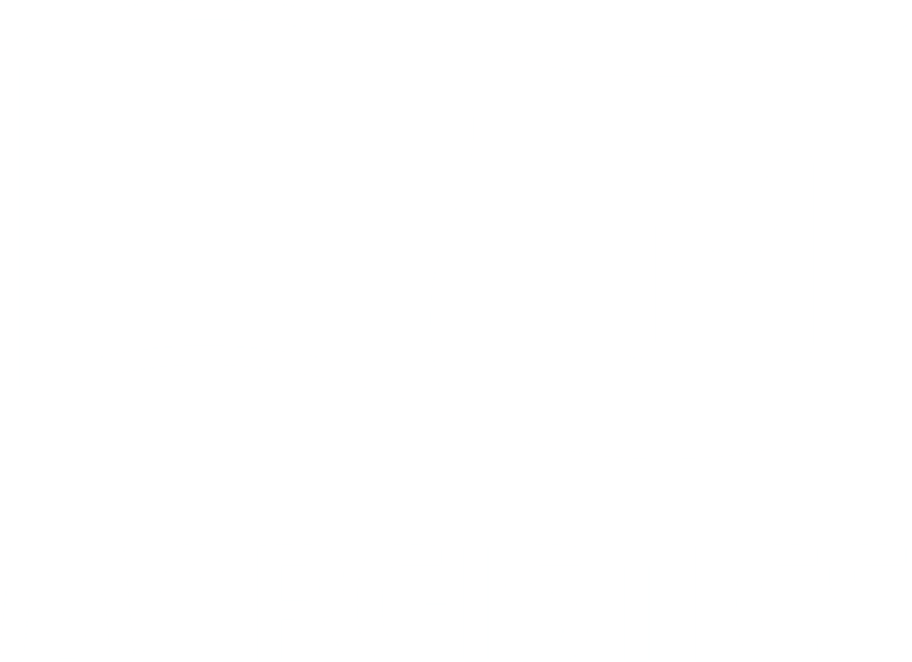 Logo Margistics blanco Grande